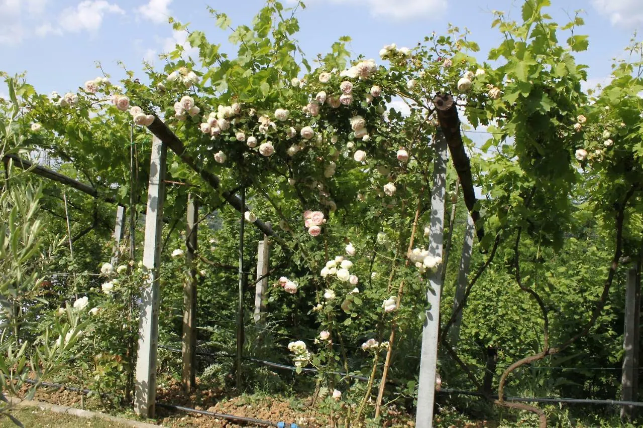 Holiday Home Villa Bobolino Montelupo Fiorentino
